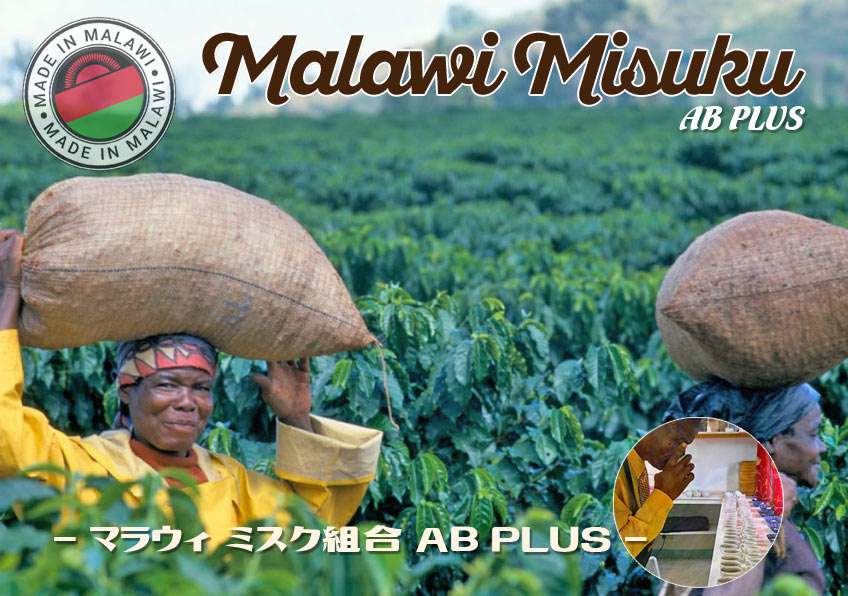 マラウィ現地写真
