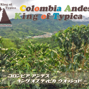 キングオブティピカサムネイル