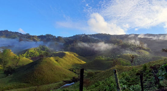 メキシコゲイシャアナエロビッグサムネイル画像