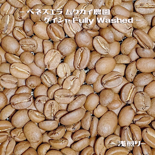 ベネズエラゲイシャ003 ベネズエラゲイシャサムネイル