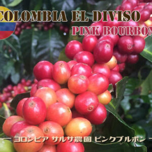 コロンビア-エルディビソ001サムネイル画像