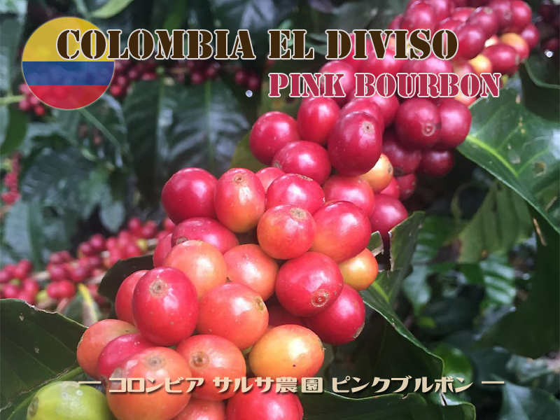 コロンビア エルディビソ001l コロンビア-エルディビソ001サムネイル画像