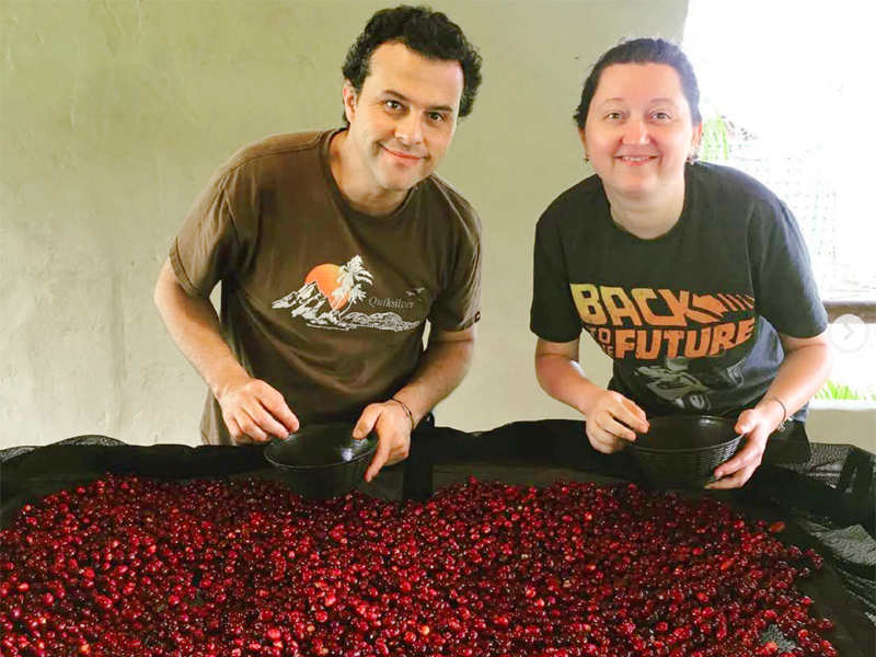 コロンビア エルディビソ002l