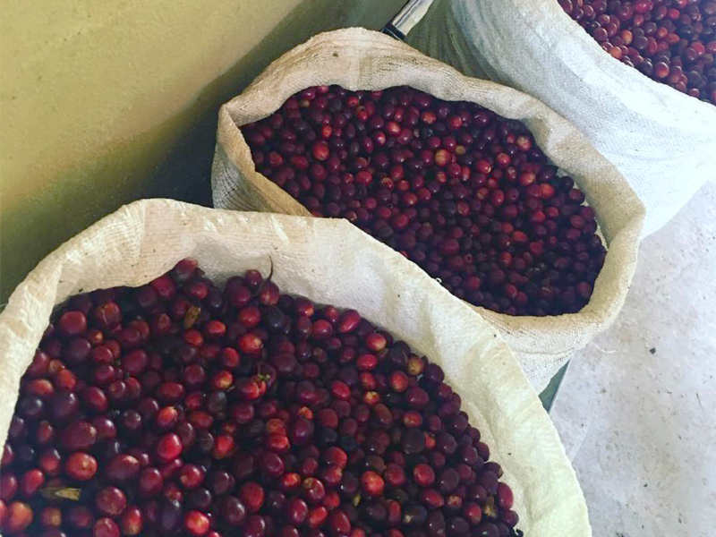 コロンビア エルディビソ004l