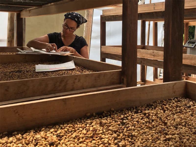 コロンビア エルディビソ006l