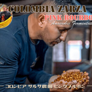 コロンビアサルサ0001-lサムネイル画像