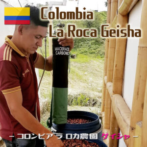 コロンビアラロカ農園001サムネイル